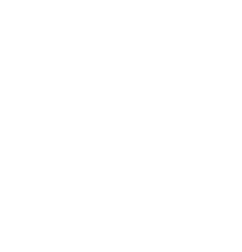 voice icon